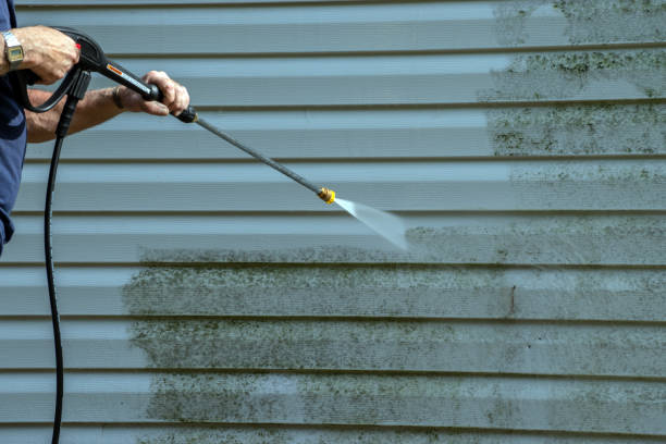 Best Fence Cleaning  in Palmdale, CA