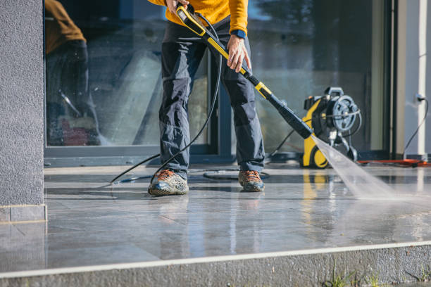 Animal Enclosure Cleaning in Palmdale, CA